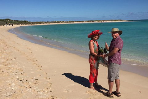 Elope In Paradise - Weddings At Mission Beach - Tourism Noosa 6