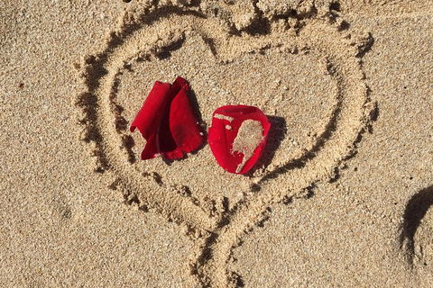 Elope In Paradise - Weddings At Mission Beach - Tourism Noosa 3