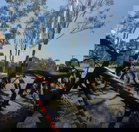 Noosa Hinterland Scenic FAT Bike  Abseil Tour - Tourism Noosa