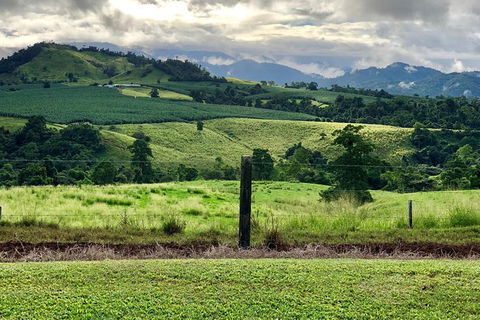 Tableland Tasting Tour - Tourism Noosa 0