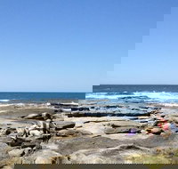 Sunshine Coast Rocky Shore Educational Eco Tour - Tourism Noosa
