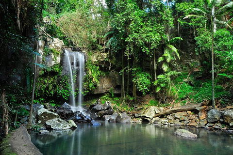 Tamborine Mountain & Gold Coast Tour - Tourism Noosa 0