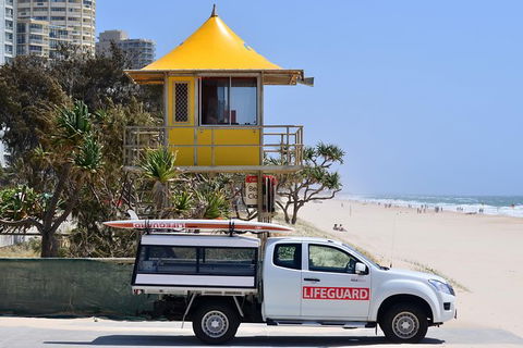 Tamborine Mountain & Gold Coast Tour - Tourism Noosa 2
