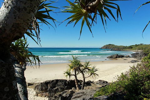 Fingal Head Learn-to-Surf Day Trip From The Gold Coast Or Byron Bay - Tourism Noosa 4