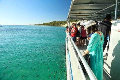 Adventure Moreton Island Wrecks Adventure Package - Tourism Noosa 0