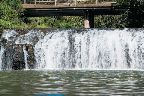 Tablelands Food & Wine Tour - Tourism Noosa 6