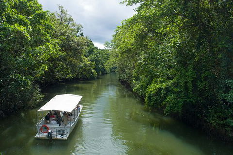 World Heritage Highlights: Reef/Daintree/Cape Tribulation - Tourism Noosa 1