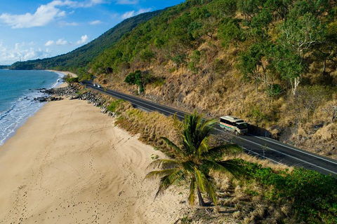 World Heritage Highlights: Reef/Daintree/Cape Tribulation - Tourism Noosa 5