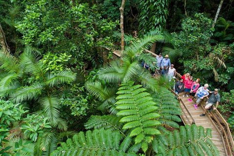 World Heritage Highlights: Reef/Daintree/Cape Tribulation - Tourism Noosa 3