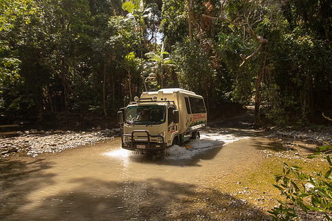 World Heritage Highlights: Reef/Daintree/Cape Tribulation - Tourism Noosa 6