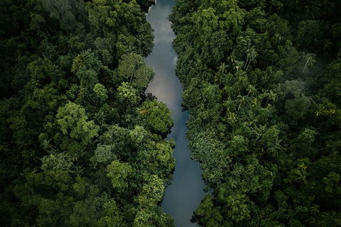World Heritage Highlights: Reef/Daintree/Cape Tribulation - Tourism Noosa 10