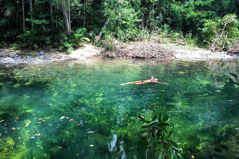 World Heritage Highlights: Reef/Daintree/Cape Tribulation - Tourism Noosa 4