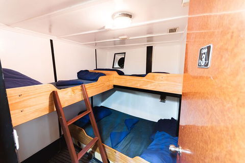2 Night Whitsunday Islands Cruise On Atlantic Clipper From Airlie Beach - Tourism Noosa 1
