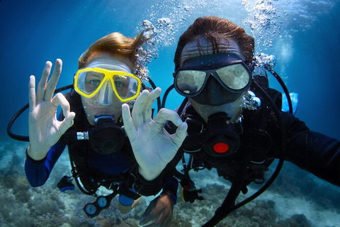 2 Night Whitsunday Islands Cruise On Atlantic Clipper From Airlie Beach - Tourism Noosa 4