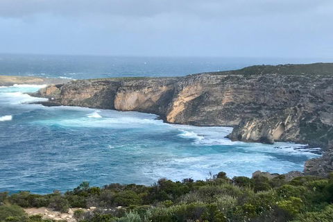 Kangaroo Island Scenic Trail Tour - Tourism Noosa 4