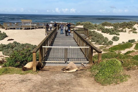 Kangaroo Island 4wd - Best Of KI - Tourism Noosa 6
