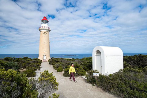 Kangaroo Island Luxury Small Group \'Flinders Chase Focus\' Full Day Tour - Tourism Noosa 8