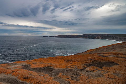 Kangaroo Island Luxury Small Group \'Flinders Chase Focus\' Full Day Tour - Tourism Noosa 2