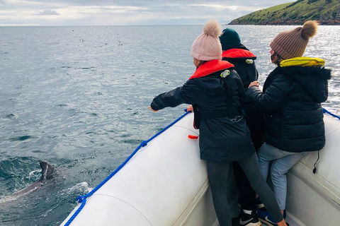 Kangaroo Island 75-Minute Ocean Safari - Tourism Noosa 2