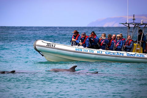 Kangaroo Island 75-Minute Ocean Safari - Tourism Noosa 0