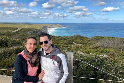 NEW TOUR - Flinders Chase Tour (Recovering From Fires) - Tourism Noosa 3