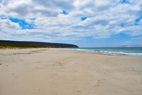 Kangaroo Island Luxury Small Group \'East End Explorer\' Full Day Tour - Tourism Noosa 5