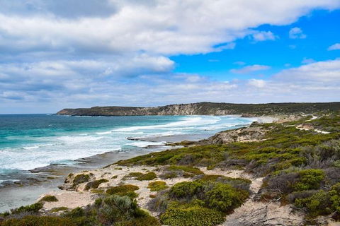 Kangaroo Island Luxury Small Group \'East End Explorer\' Full Day Tour - Tourism Noosa 4