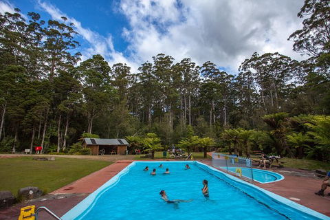 Tahune Airwalk Active Day Trip From Hobart Including Hastings Caves - Tourism Noosa 2