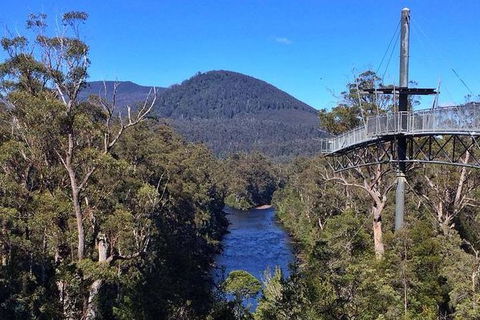 Tahune Airwalk Active Day Trip From Hobart Including Hastings Caves - Tourism Noosa 6