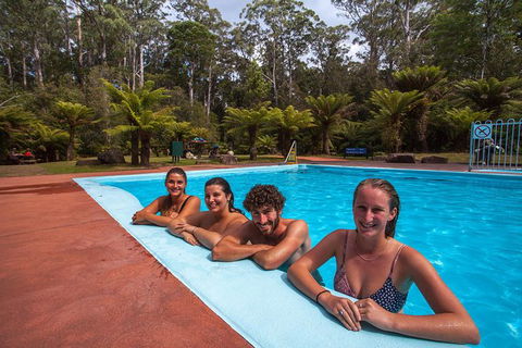 Tahune Airwalk Active Day Trip From Hobart Including Hastings Caves - Tourism Noosa 4
