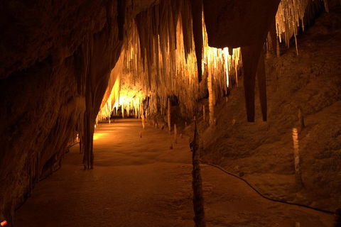 Tahune Airwalk Active Day Trip From Hobart Including Hastings Caves - Tourism Noosa 8