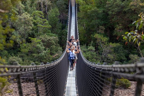 Tahune Airwalk Active Day Trip From Hobart Including Hastings Caves - Tourism Noosa 0