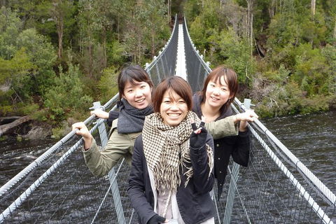 Tahune Airwalk Active Day Trip From Hobart Including Hastings Caves - Tourism Noosa 7