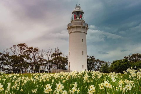 Table Cape Lighthouse Tours - Tourism Noosa 7