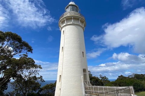 Table Cape Lighthouse Tours - Tourism Noosa 4