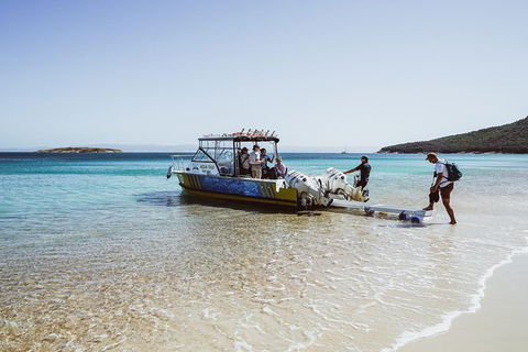 Sea & Explore Wineglass Bay & Freycinet National Park - Cruise & Walk - Tourism Noosa 3