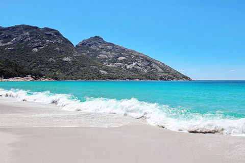 Sea & Explore Wineglass Bay & Freycinet National Park - Cruise & Walk - Tourism Noosa 4