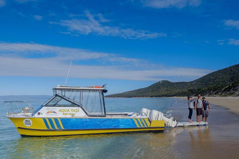 Sea & Explore Wineglass Bay & Freycinet National Park - Cruise & Walk - Tourism Noosa 7