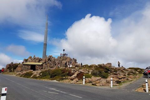 Mt. Wellington Morning Hike + Afternoon Beer & History Walk - Tourism Noosa 21