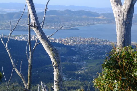 Mt. Wellington Morning Hike + Afternoon Beer & History Walk - Tourism Noosa 10