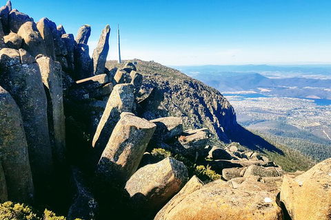 Mt. Wellington Morning Hike + Afternoon Beer & History Walk - Tourism Noosa 11