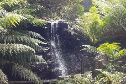 Mt. Wellington Morning Hike + Afternoon Beer & History Walk - Tourism Noosa 16