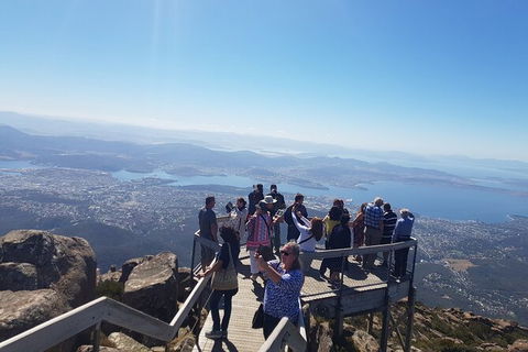 Mt. Wellington Morning Hike + Afternoon Beer & History Walk - Tourism Noosa 2