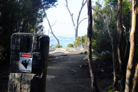 Mt. Wellington Morning Hike + Afternoon Beer & History Walk - Tourism Noosa 14
