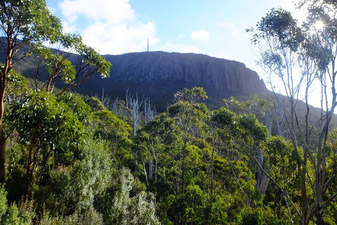 Mt. Wellington Morning Hike + Afternoon Beer & History Walk - Tourism Noosa 4