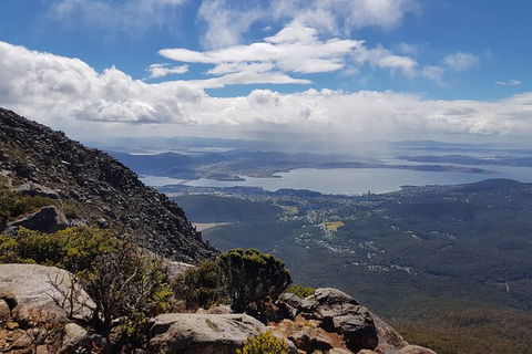 Mt. Wellington Morning Hike + Afternoon Beer & History Walk - Tourism Noosa 5