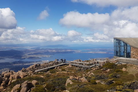Mt. Wellington Morning Hike + Afternoon Beer & History Walk - Tourism Noosa 3