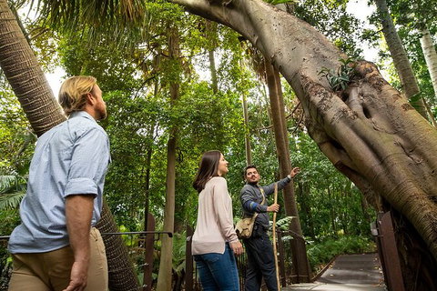 Aboriginal Heritage Walk - Royal Botanic Gardens Victoria, Melbourne Gardens - Tourism Noosa 1