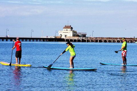 Private Stand-Up Paddle Board Lesson At St Kilda - Tourism Noosa 0