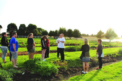 Georgie Bass (Patch 2 Plate) Cooking Classes - Tourism Noosa 0
